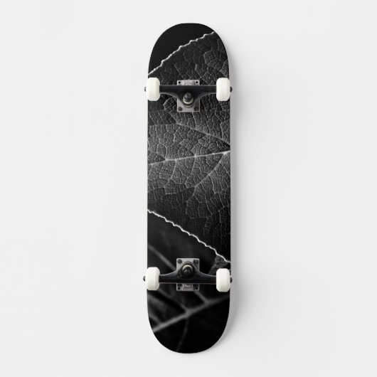 Skateboard feuilles étant (Recto)