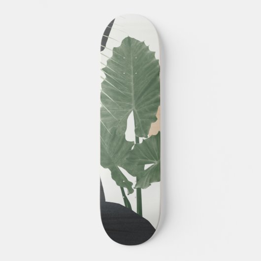 Skateboard Feuilles tropicaux Finesse Abstraite #1 #tropical (Recto)