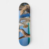 Skateboard Filets de pêche séchant sur la plage (Recto)