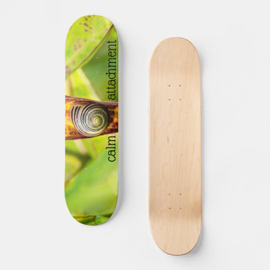 Skateboard fixation calme (Recto)