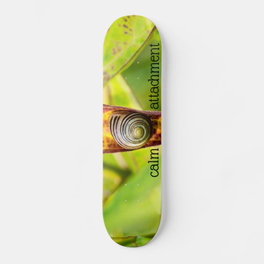 Skateboard fixation calme (Recto)