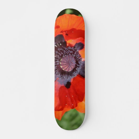 Skateboard Fleur de pavot orientale (Devant)