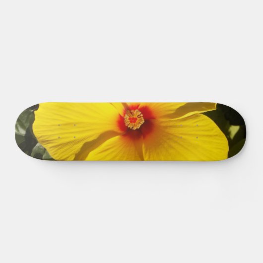 Skateboard Fleur d'Hibiscus jaune (Horz)