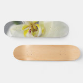 Skateboard Fleur d'orchidée blanche (Horz)