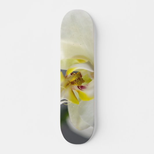 Skateboard Fleur d'orchidée blanche (Devant)