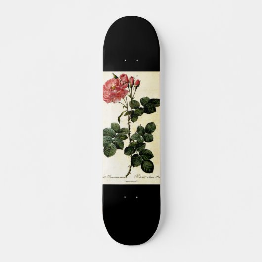 Skateboard Fleur rose, Pierre Joseph Redouté (Devant)