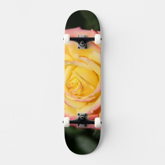 Skateboard Fleur rose rose jaune chaud (Recto)