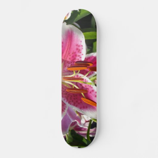 Skateboard Fleur rose rose rose rose fleur rose fleur tropica (Recto)