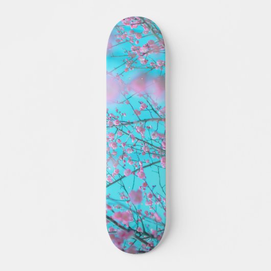 Skateboard Fleurs de Prunier (Suzhou, Chine) (Devant)