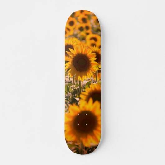 Skateboard Fleurs de soleil (Devant)