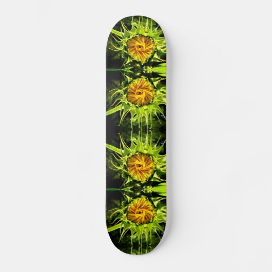 Skateboard Fleurs de soleil, fleurs jaunes (Recto)