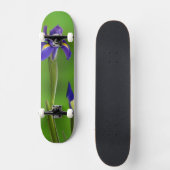 Skateboard Fleurs d'Iris (Recto)