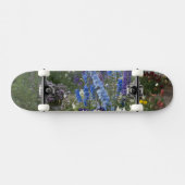 Skateboard Fleurs printanières le long d'un chemin de jardin, (Horz)