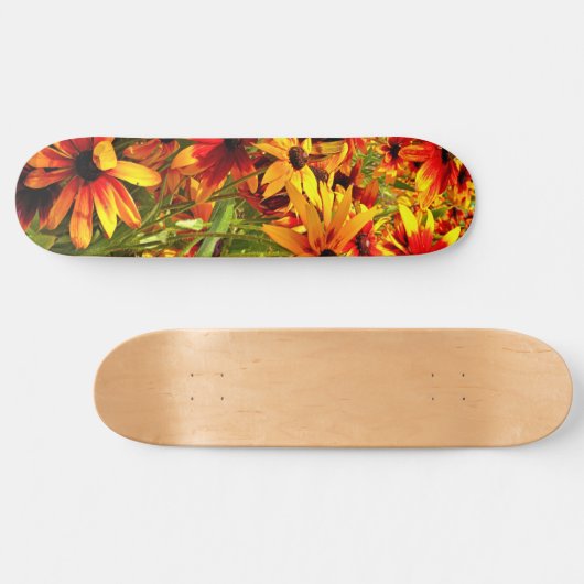 SKATEBOARD FLEURS RUDBECKIA (Horz)