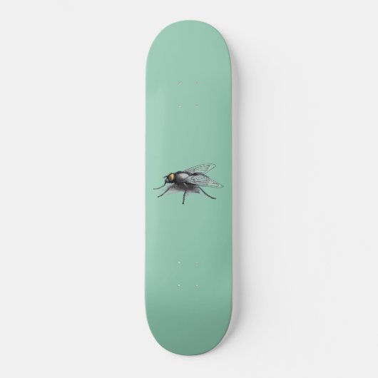 Skateboard Fly Buddy (Recto)