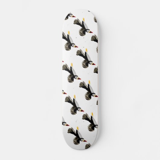 Skateboard Flying Puffin Art (Recto)