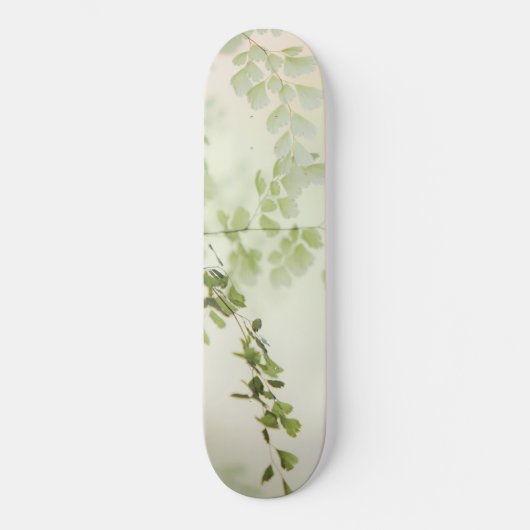 Skateboard Foliage de printemps (Recto)