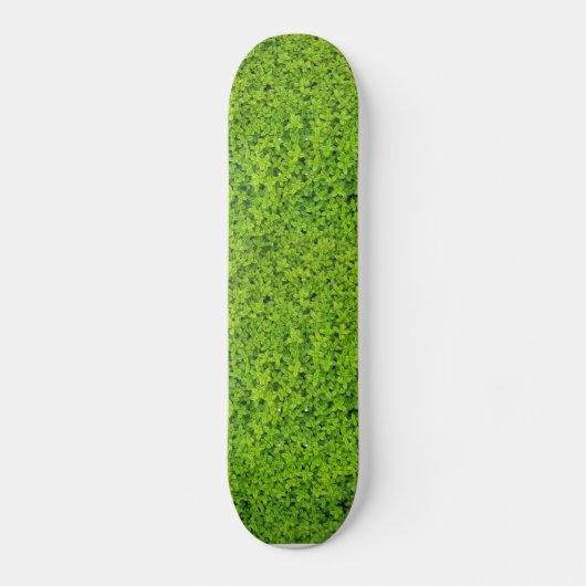 Skateboard Fond de mur de lierre (Recto)
