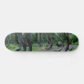 Skateboard Forêt Crochée - Pologne (Horz)