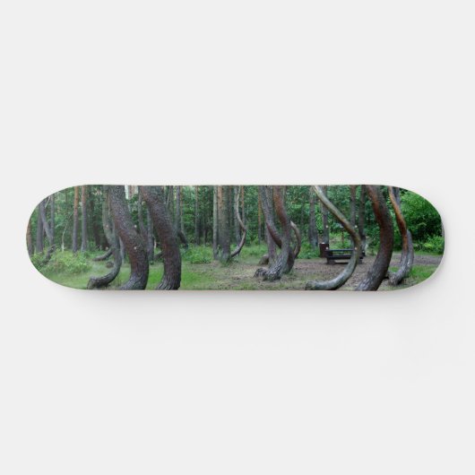 Skateboard Forêt Crochée - Pologne (Horz)
