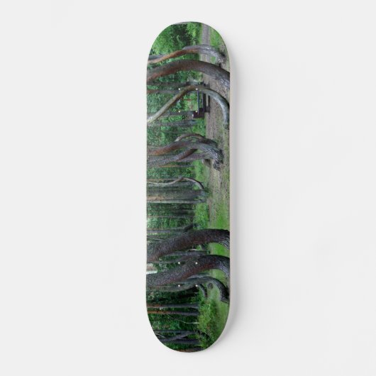 Skateboard Forêt Crochée - Pologne (Recto)