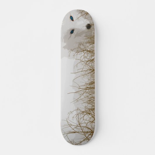 Skateboard Fox blanc (Devant)