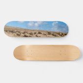 Skateboard Fuerteventura (Horz)
