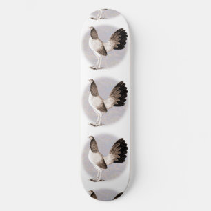 Skateboard Gamecock : Hennie