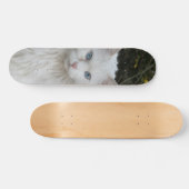 Skateboard Gato blanco angora turco ojos azules (Horizontaal)