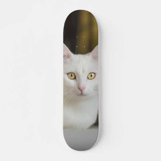 Skateboard Gato blanco con ojos amarillos (Voorkant)