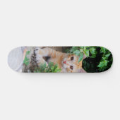 Skateboard Gato descansa atento para cazar (Horz)