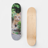 Skateboard Gato descansa atento para cazar (Recto)