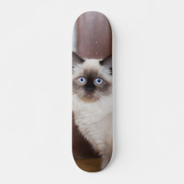 Skateboard Gato peludo de raza ragdoll