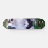 Skateboard Gato raza Maine Coon pelo largo (Horz)
