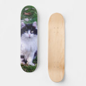 Skateboard Gato raza Maine Coon pelo largo (Recto)