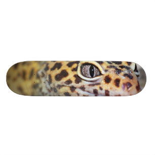 Skateboard gecko de léopard
