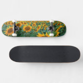 Skateboard Gisement de tournesol dans Longmont, le Colorado (Horz)