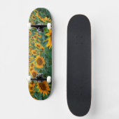 Skateboard Gisement de tournesol dans Longmont, le Colorado (Recto)