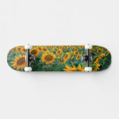 Skateboard Gisement de tournesol dans Longmont, le Colorado (Horz)
