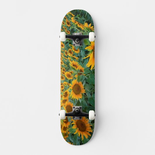 Skateboard Gisement de tournesol dans Longmont, le Colorado (Recto)