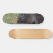 Skateboard Gorilla (Horz)