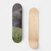Skateboard Gorilla (Recto)