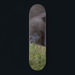 Skateboard Gorilla<br><div class="desc">Gorilla</div>