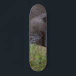Skateboard Gorilla<br><div class="desc">Gorilla</div>