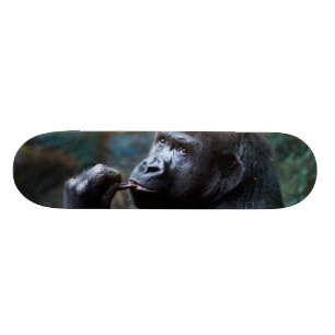 Skateboard Gorille des montagnes - dents de cueillette