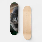 Skateboard Gorille Gorilla Ape (Recto)