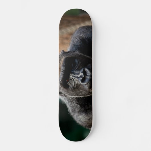 Skateboard Gorille Gorilla Ape (Recto)