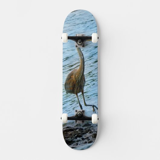 Skateboard Grand héron bleu (Recto)