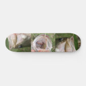 Skateboard Grande basse de bouche (Horz)