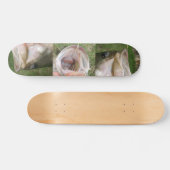 Skateboard Grande basse de bouche (Horz)